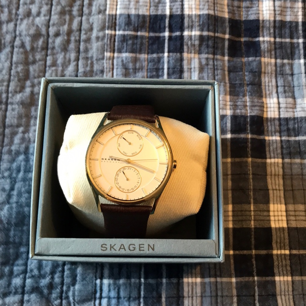 Skagen Mens Watch